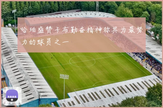 哈珀盛赞卡布勤奋精神称其为最努力的球员之一